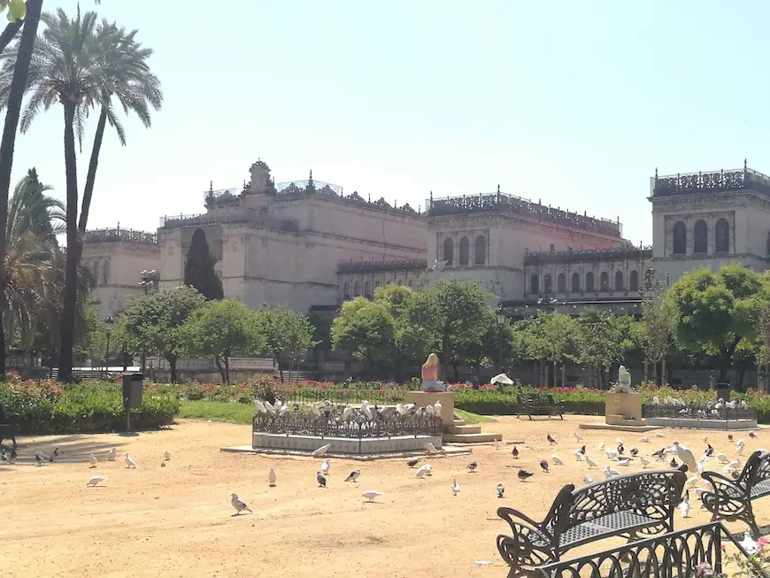 Parque de María Luisa. Plaza de América. Palomas.