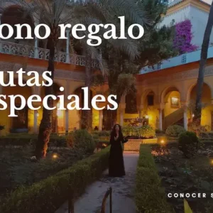 bono regalo visitas especiales--