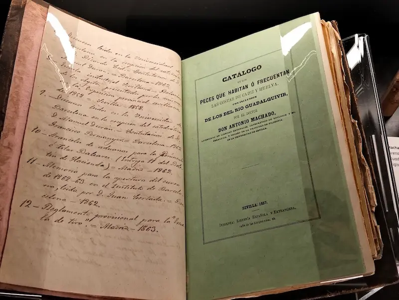 catalogo_de_peces_de_antonio_machado_1857
