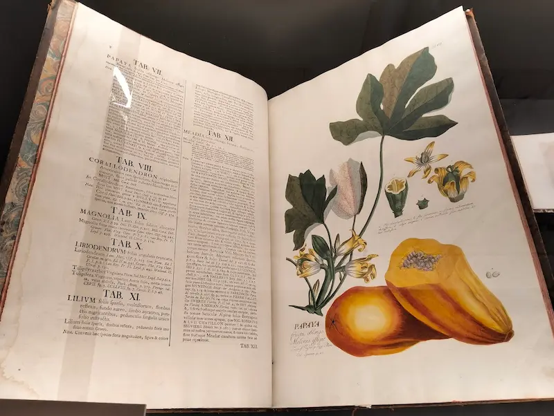 libros_de_botanica_siglo_xviii