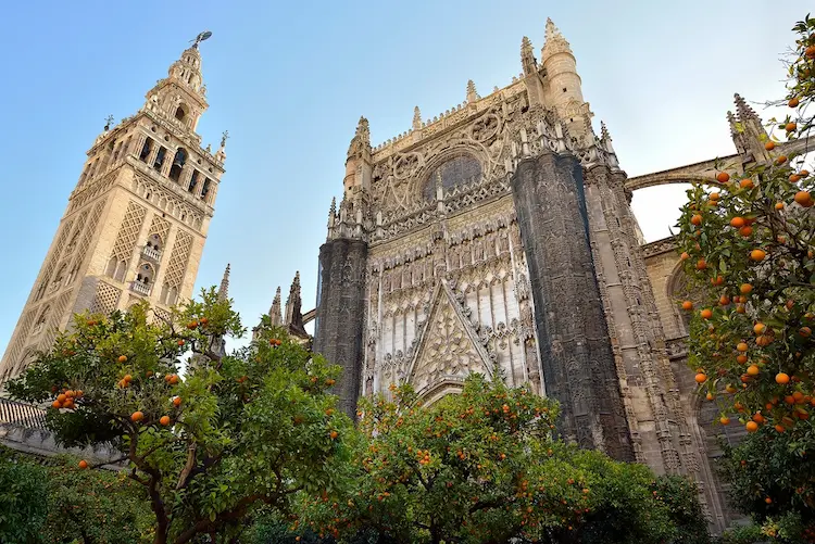 Sevilla esencial (Catedral + El Salvador + Santa Cruz Nocturna)