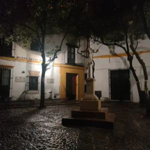 paquete_santa_cruz_y_palacio_de_dueñas